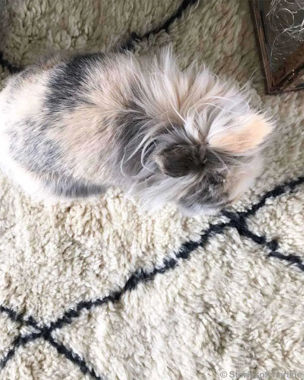 Moroccan Custom Rug - Ettilux Home